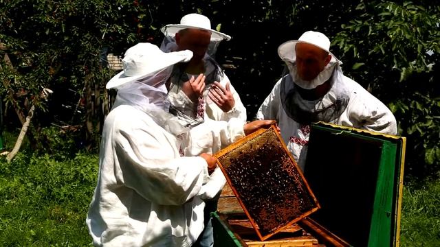 Пасечник №10 - Продукты пчеловодства смотреть онлайн