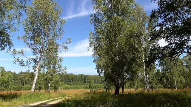 Исцеление от Болезни Паркинсона Для мужчин и женщин