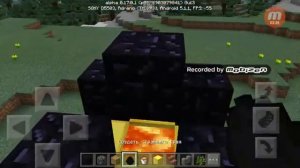 Как сделать дракона в Майнкрафте в реальном мире