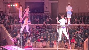 8 января 2022 г.Новогоднее представление в цирке