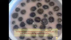 Варенье из грецких орехов