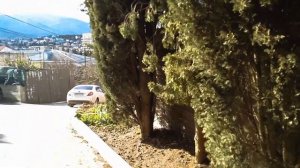 Крым 2023 Алушта в феврале погодка супер