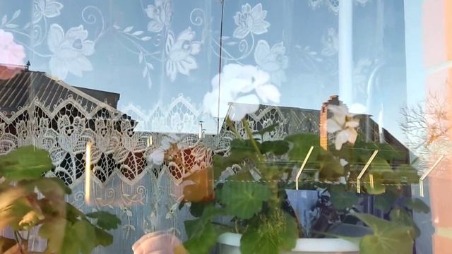 #Купилидомнаюге/Заказали окна/ чË купили/Квасим капусту ?