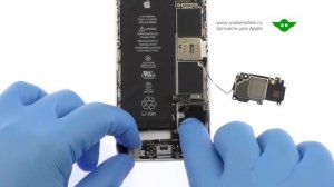 Замена нижнего шлейфа на iPhone 6s | Как заменить lightning разъем на Айфон 6s