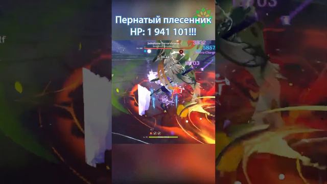 Raiden National сильнейший отряд. Genshin Impact