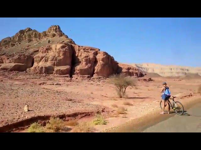 3 декабря 2018 г. смотреть онлайн