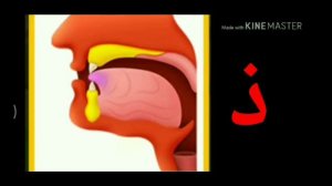 МАХРАДЖ НА БУКВЫ ث ذ ظ