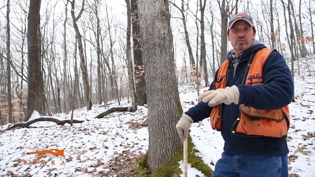 Timber Investment Properties | What To Look For смотреть онлайн