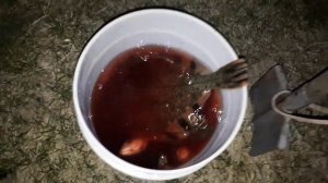 Рыбалка на Сахалине  Ловим Кунджу и камбалу.