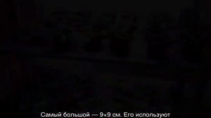 Как пересадить фиалку в другой горшок пошагово