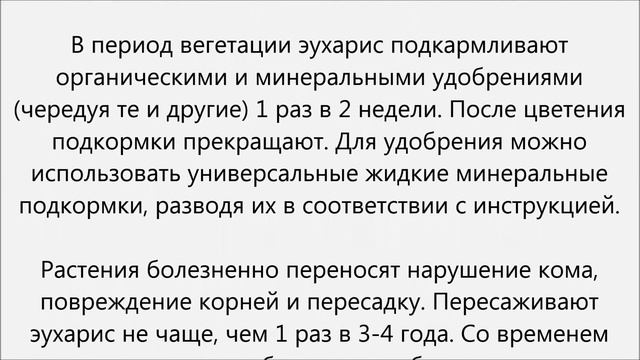 Эухарис уход смотреть онлайн