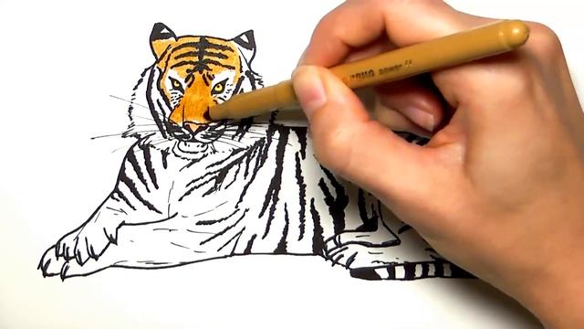 Рисуем и раскрашиваем Тигра  \\ Рисование для мальчиков!