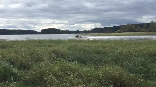Там на неведомых дорожках смотреть онлайн