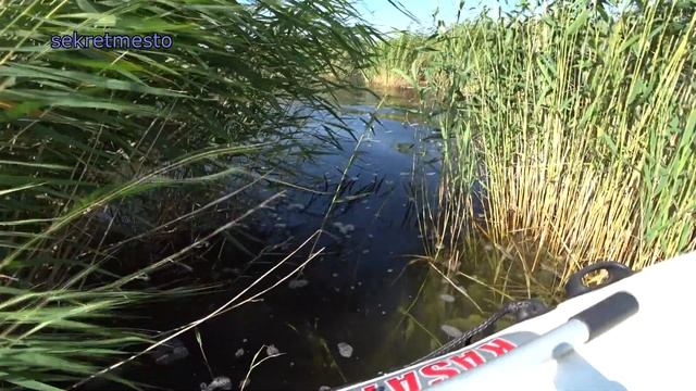 Потеряли человека на подводной охоте на карпа. смотреть онлайн