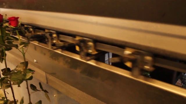 Розы от "Голландского цветочника" смотреть онлайн