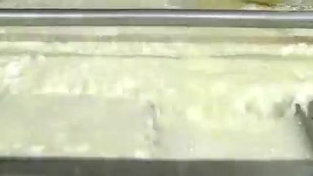 Линия по переработке молока для производства сыра смотреть онлайн