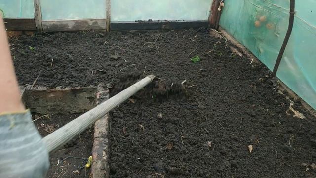 Посадка огурцов и подготовка грядки. смотреть онлайн