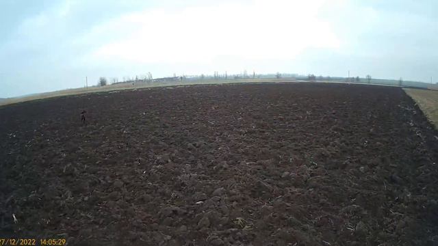 Охота на зайца в Краснодарском крае 27.12.2022 смотреть онлайн