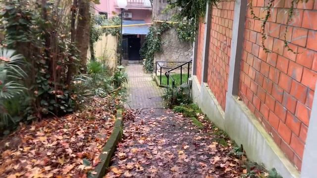 СОЧИ / ХОСТА/ море в декабре смотреть онлайн