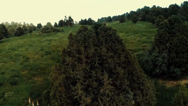 Beautiful Surkhandarya by drone | Прекрасная Сурхандарья с дрона