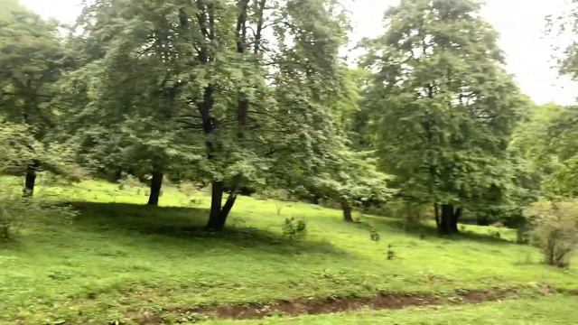 NOVO-İVANOVKA GƏDƏBƏY AZƏRBAYCAN 2020 смотреть онлайн