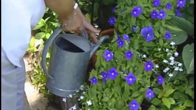 Gardening Tips - Garden Tours смотреть онлайн