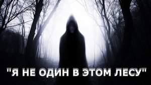 "Я не один в этом лесу". Мистика/Аудио рассказ.
