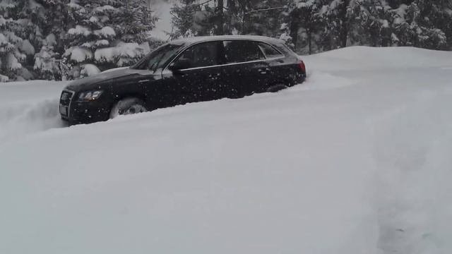Best Of Audi Q5/SQ5