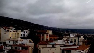 К чему снится сова