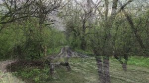 Весна в Бутурлиновке. Апрель 2023