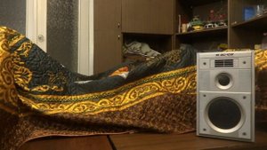 Вега 25ас-302 (25ас-2) против двухполосок и 10гдш