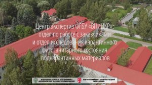 Отдел исследования карантинного фитосанитарного состояния подкарантинных материалов ФГБУ «ВНИИКР»