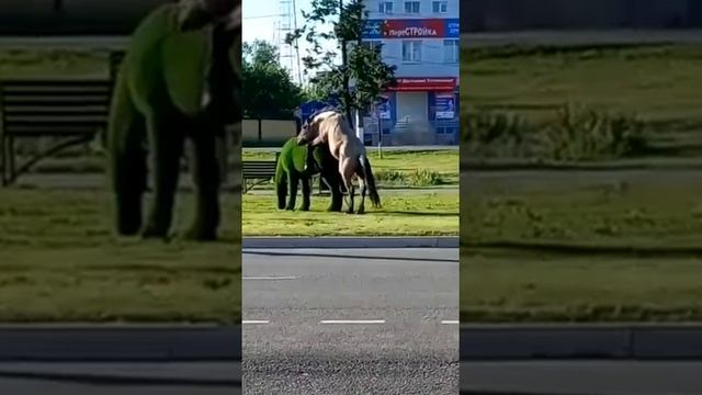 Создатели зелёных скульптур из Калужской области могут гордиться