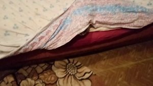 Кошка спряталась от холода. Подзамерзла в квартире.