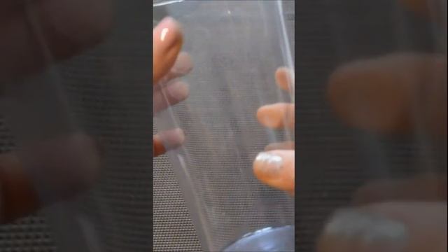 Одуванчиковое варенье, рецепт смотреть онлайн