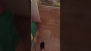 Я делаю коляску для реборнов