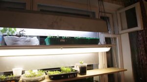 Подсветка рассады. Делаем сами недорого и просто