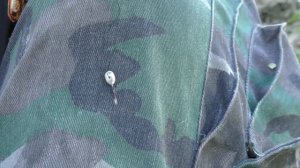 самая чувствительная снасть на карася