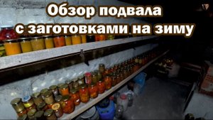 Обзор подвала с нашими заготовками на зиму