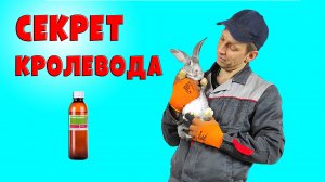 Должно быть у каждого кроликовода!