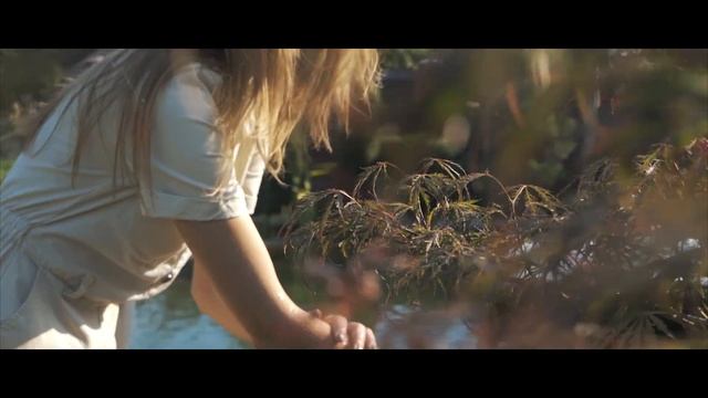 ЛАНДШАФТНЫЙ ДИЗАЙН ПРИУСАДЕБНОГО УЧАСТКА ВОЗЛЕ ДОМА (#LANDSCAPE)
