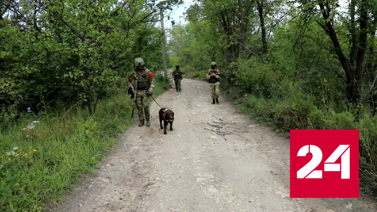 Айболит из Росгвардии спас раненую служебную собаку - Россия 24