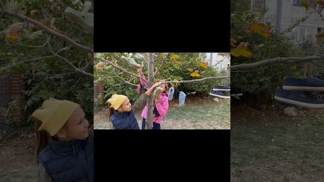 Чудо-дерево_Корней Чуковский