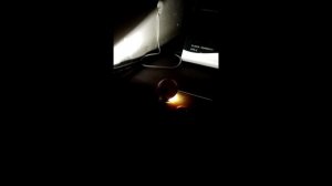 ЭКСПЕРИМЕНТ! Инкубация перепелов из магазинных яиц. Часть 1
