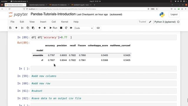 How make Queries in a Pandas DataFrame