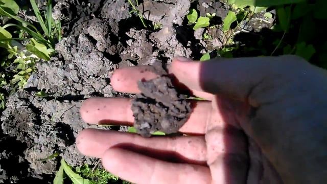 Участок. Вот такое на глубине метр. Подсохшее. А так вода на глубина 20см смотреть онлайн