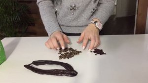 Плоды рожкового дерева || Польза и свойства