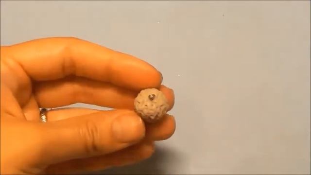 Мастер класс лепим Жёлуди из домашнего холодного фарфора смотреть онлайн