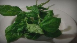 Помидоры с сыром моцарелла