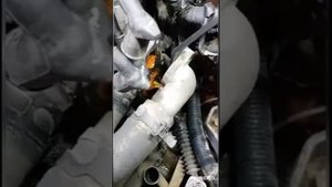 Hyundai Accent Thermostat replacement